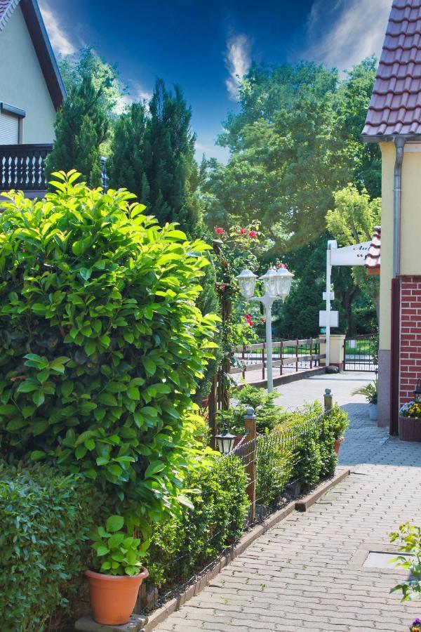 Pension-&Cafégarten Luisenhof Tangermünde Exterior foto